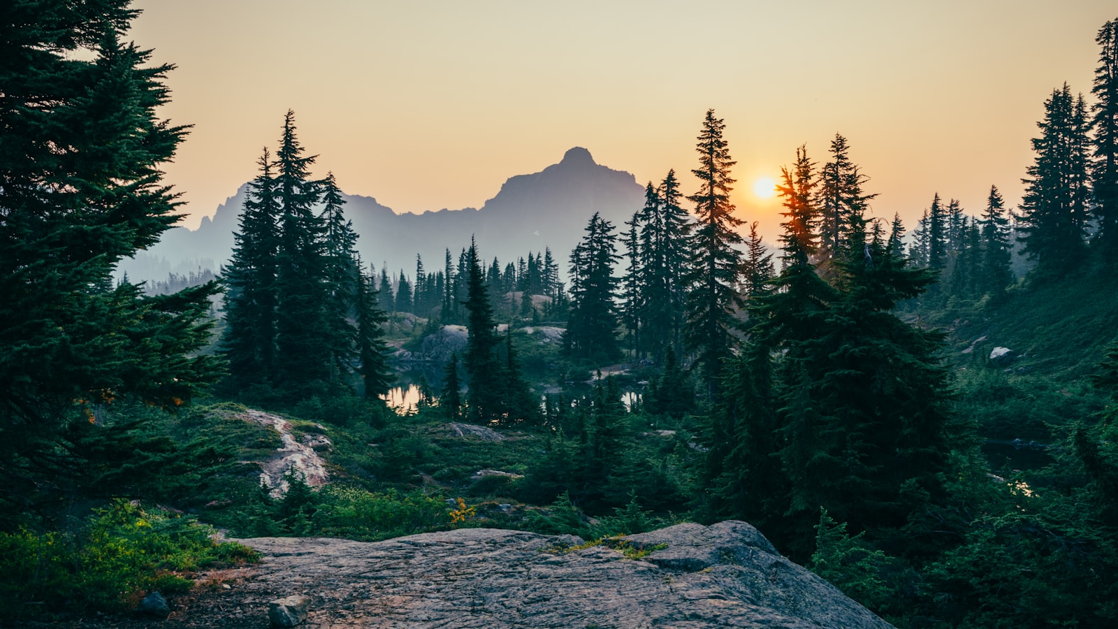 Conifer forest and misty ridgelines at dusk on the northwest coast