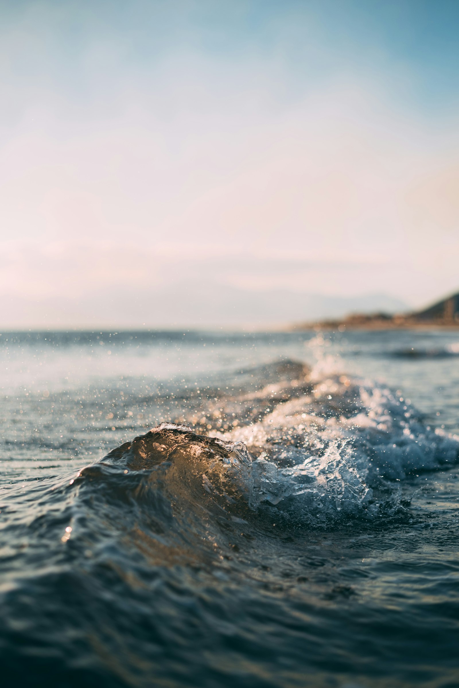 A small wave curling near the shore in golden light